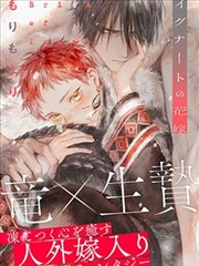 文豪野犬 漫画原作 封面图